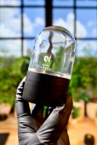 Featured image for the custom 100ml glass dome jar guide