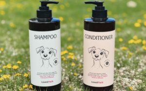 Featured image for the lversatile packaging solutions by jarsking for personal care pet shampool guide